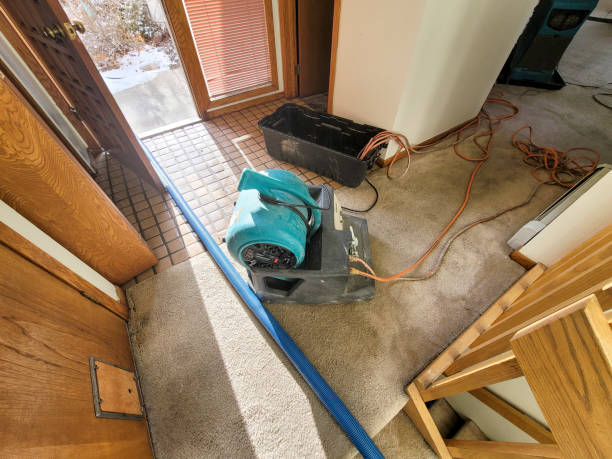 Best Commercial Water Damage Restoration in USA